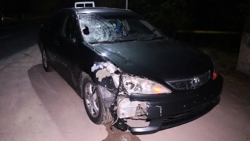 Мужчину сбили насмерть в Алматинской области