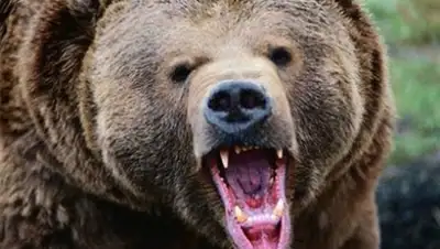 Zakon.kz, фото - Новости Zakon.kz от 21.08.2017 13:29