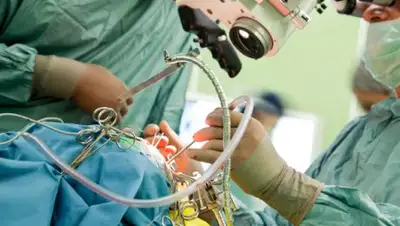 Zakon.kz, фото - Новости Zakon.kz от 20.05.2017 20:29