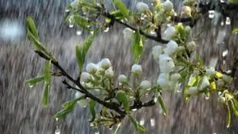 6 апреля на большей части Казахстана ожидаются осадки