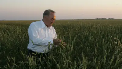 Nur Otan, фото - Новости Zakon.kz от 19.03.2020 16:08