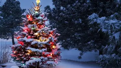 РИА Новости, фото - Новости Zakon.kz от 27.12.2017 23:00