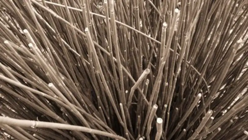 У китайца после прыжка с моста застряла палка между ягодицами