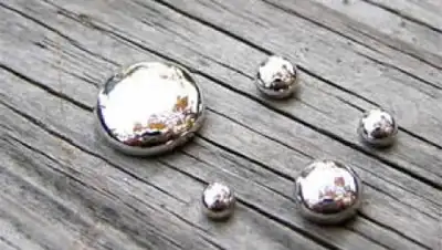 Zakon.kz, фото - Новости Zakon.kz от 25.02.2017 03:16