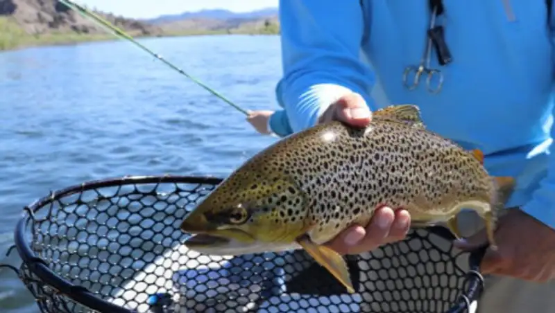 Мамин поручил до 1 ноября разработать программы развития рыбного хозяйства