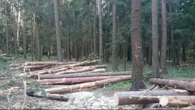 Zakon.kz, фото - Новости Zakon.kz от 02.02.2017 21:52