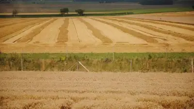 Zakon.kz, фото - Новости Zakon.kz от 27.09.2016 20:26