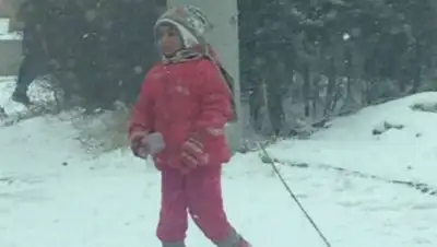 Zakon.kz, фото - Новости Zakon.kz от 05.04.2017 21:51