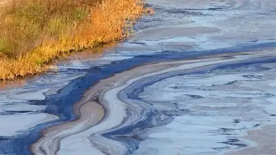 Zakon.kz, фото - Новости Zakon.kz от 14.08.2014 15:09