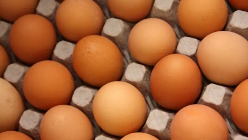 Птицефабрика оштрафована за повышение цен на яйца в Акмолинской области
