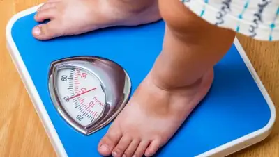 Hello Bacsi, фото - Новости Zakon.kz от 22.02.2019 22:54