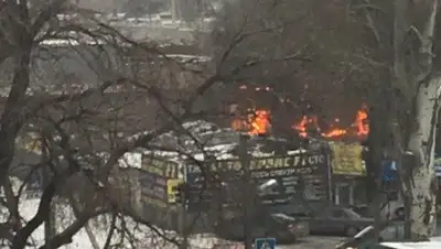 Zakon.kz, фото - Новости Zakon.kz от 29.12.2016 17:39