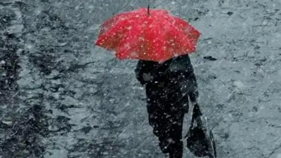 Голос Карпат, фото - Новости Zakon.kz от 05.03.2018 19:12