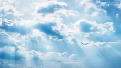 koreanair.com, фото - Новости Zakon.kz от 22.07.2020 17:00