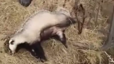 Zakon.kz, фото - Новости Zakon.kz от 05.10.2017 07:01