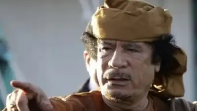 Zakon.kz, фото - Новости Zakon.kz от 08.01.2016 06:11