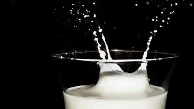 Врач-диетолог заявил, что кефир снижает давление, фото - Новости Zakon.kz от 17.11.2022 09:18