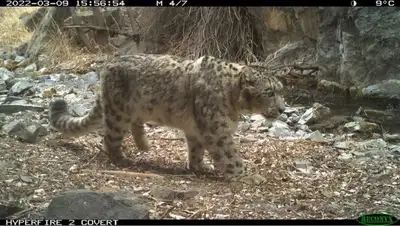 Национальный парк Алтын Эмель, фото - Новости Zakon.kz от 11.05.2022 20:47