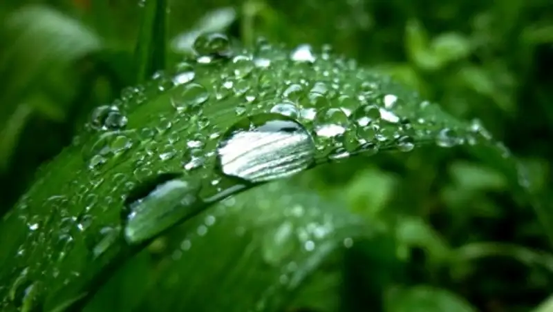 6 мая на большей части Казахстана сохраняются местами дожди с грозами