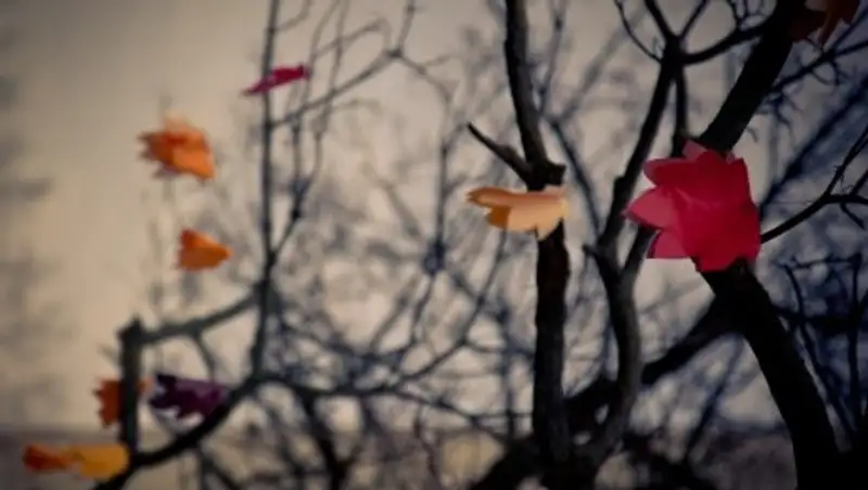 В нескольких областях Казахстана ожидается сильный ветер