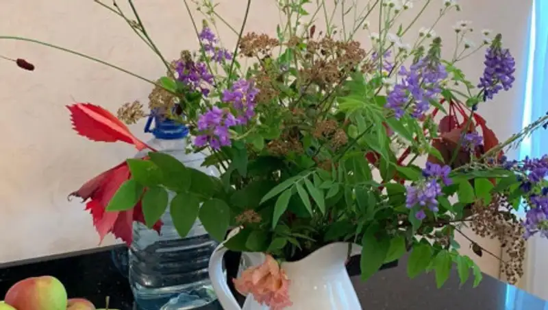 Заворотнюк опубликовала новые фото в Instagram