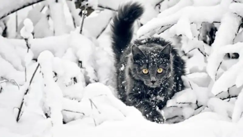 Большую часть Казахстана в среду ожидают осадки