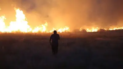 степь пожар Карагандинская область, фото - Новости Zakon.kz от 21.06.2022 17:31