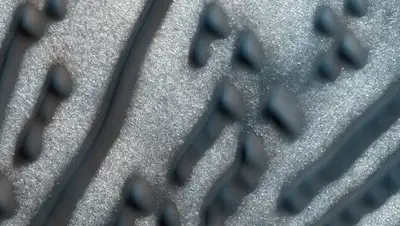 Zakon.kz, фото - Новости Zakon.kz от 12.07.2016 13:03