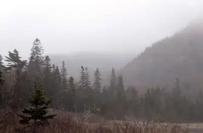 Туман прогнозируют синоптики на большей части Казахстана 27 сентября , фото - Новости Zakon.kz от 26.09.2023 14:56