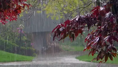 i.ytimg.com, фото - Новости Zakon.kz от 20.05.2020 12:22