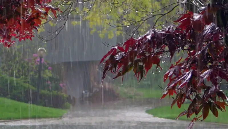 Синоптики рассказали, когда прекратятся дожди