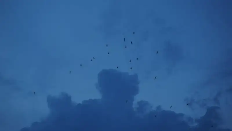 Дожди с грозами сохраняются в Казахстане