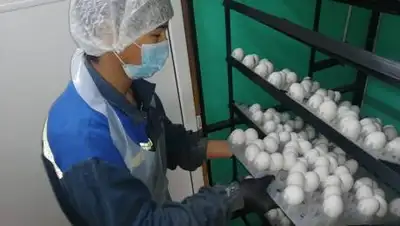 АО "Аграрная кредитная корпорация", фото - Новости Zakon.kz от 29.03.2021 09:30