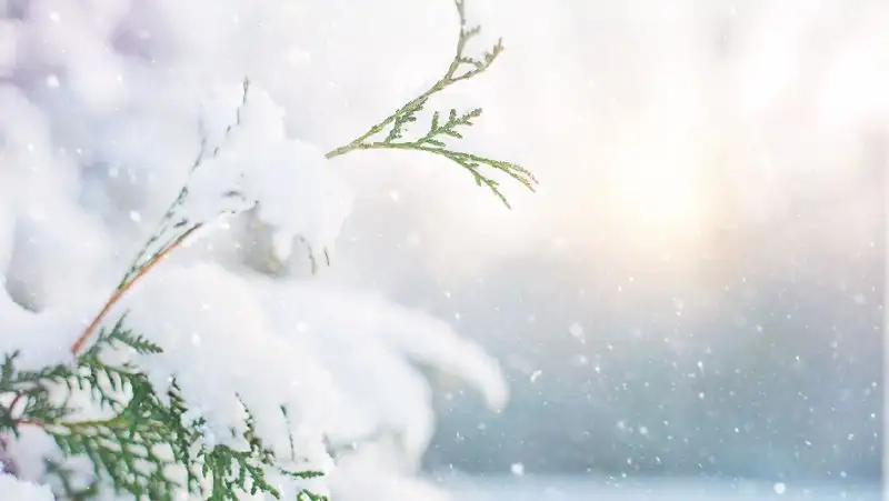 Cиноптики прогнозируют снег и дождь на юге Казахстана