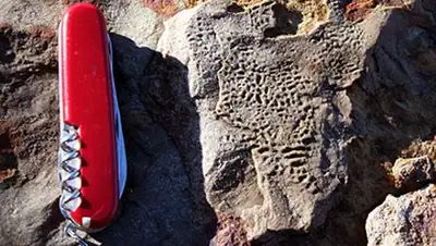 Zakon.kz, фото - Новости Zakon.kz от 13.09.2014 22:18