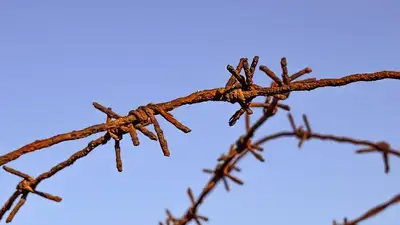 Новый срок: заключенный павлодарской колонии признался в убийстве годичной давности , фото - Новости Zakon.kz от 02.11.2023 03:20