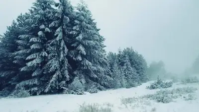 pexels.com, фото - Новости Zakon.kz от 26.11.2019 09:10