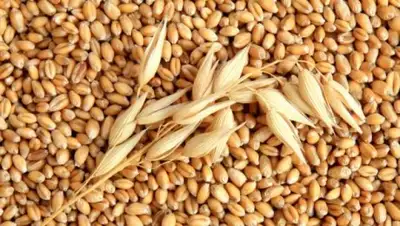 Zakon.kz, фото - Новости Zakon.kz от 20.10.2016 13:25