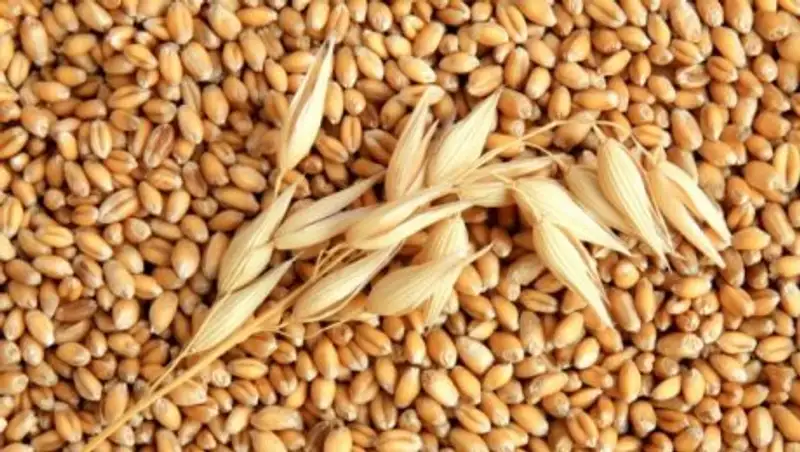 В Казахстане собрали более 3 млн тонн ячменя