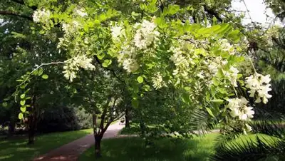 eco-almaty.kz, фото - Новости Zakon.kz от 06.09.2021 14:25