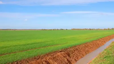 Zakon.kz, фото - Новости Zakon.kz от 15.09.2016 21:03