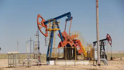 Lada.kz, фото - Новости Zakon.kz от 24.05.2019 12:01