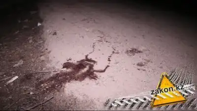 Zakon.kz, фото - Новости Zakon.kz от 24.02.2017 17:28