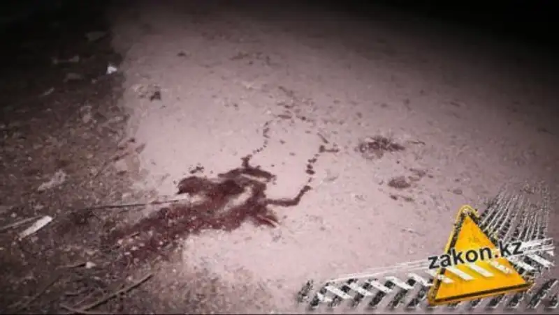 Мужчина, сбивший 8-летнюю девочку в Алматы, рассказал о ДТП