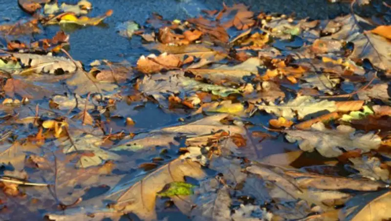 В Казахстане резко похолодает