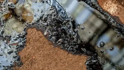 Zakon.kz, фото - Новости Zakon.kz от 17.01.2018 12:31