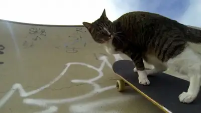 Zakon.kz, фото - Новости Zakon.kz от 05.03.2015 16:18