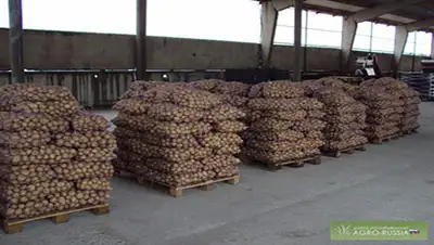 Zakon.kz, фото - Новости Zakon.kz от 28.04.2016 15:32