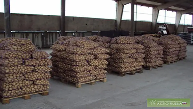 В Казахстане предлагают построить оптово-логистический центр для фермеров