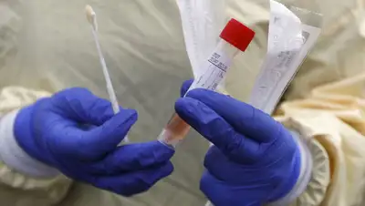 Хабар, фото - Новости Zakon.kz от 20.07.2020 16:36